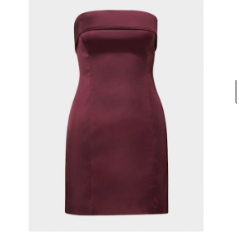Mini shimmer satin tube Aritzia dress. New never worn with tags. Burgundy color